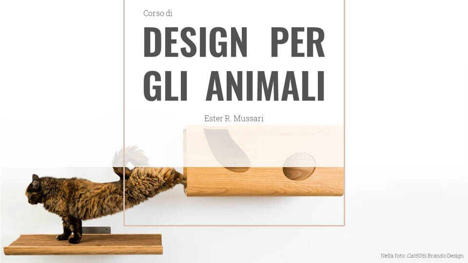 "Design per gli Animali" è un corso innovativo di base per progettare oggetti di design for pets. Include design for dogs e design for cats.