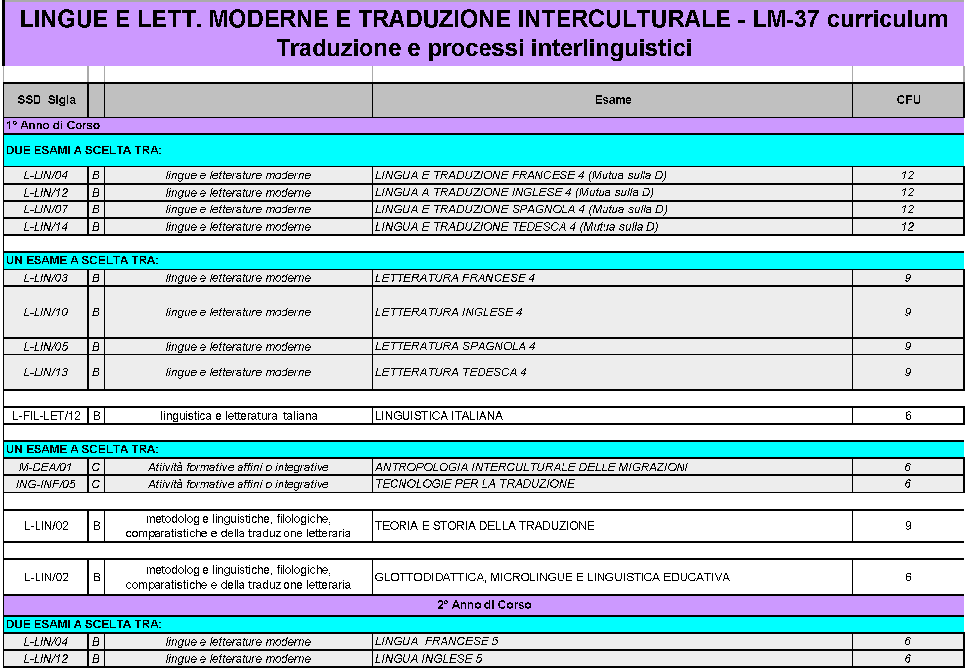 Laurea Magistrale LM-37 indirizzo Traduzione e Processi Interlinguistici