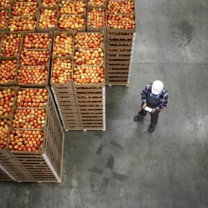 Corso per addetti del settore alimentare - Regione Marche - Aggiornato DGR 70/2022