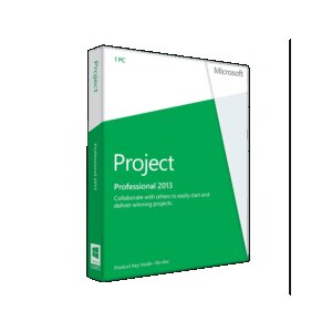 Microsoft Project Professional 2013 - Licenza Microsoft