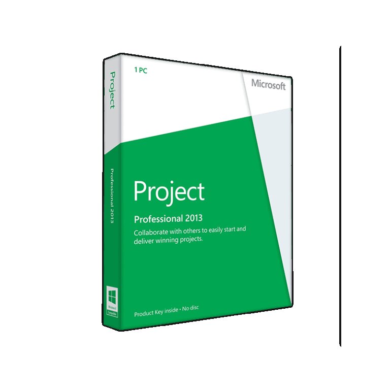 Microsoft Project Professional 2013 - Licenza Microsoft