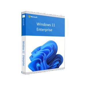 Windows 11 Enterprise 64 bit - Licenza Microsoft