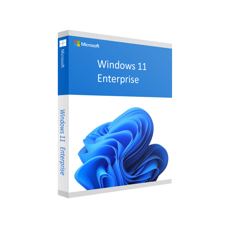 Windows 11 Enterprise 64 bit - Licenza Microsoft