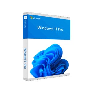 Microsoft Windows 11 Pro Professional - Licenza a vita Windows