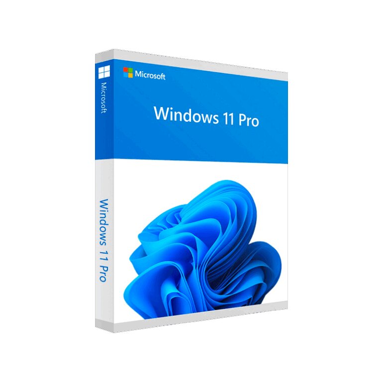 Microsoft Windows 11 Pro Professional - Licenza a vita Windows