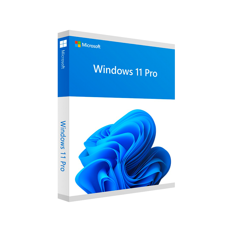 Microsoft Windows 11 Pro Professional - Licenza a vita Windows